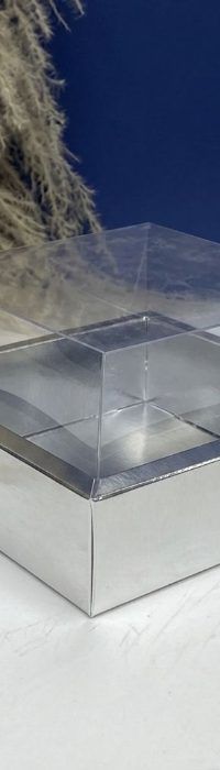 Caja Con Tapa De Acetato Talla M (17x17x10cm) 0581-S