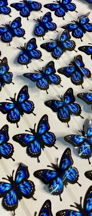 Cortina De Mariposas Monarca