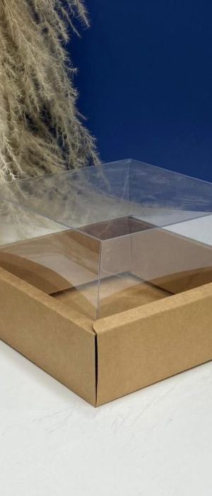 Caja Con Tapa De Acetato Talla M (17x17x10cm) 0581-S