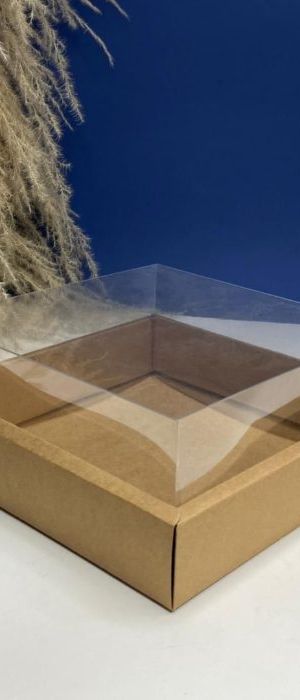 Caja Con Tapa De Acetato Talla L (24.5x24.5x10cm) 0581-L