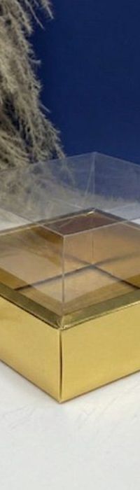 Caja Con Tapa De Acetato Talla M (17x17x10cm) 0581-S