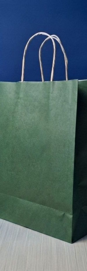 Bolsa Kraft Grande - Verde