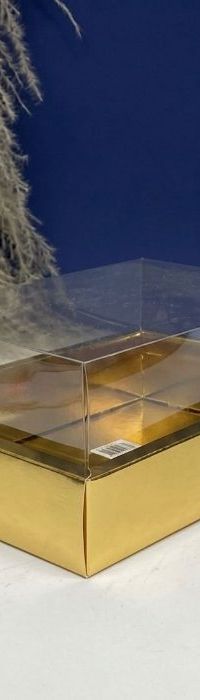 Caja Con Tapa De Acetato Talla M (24.5 X17x10cm) 0581-M