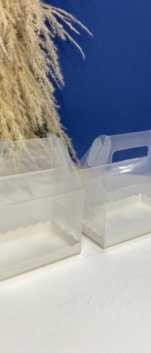 Cajas Take Out Acetato 088
