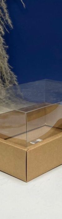 Caja Con Tapa De Acetato Talla M (24.5 X17x10cm) 0581-M