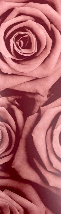 Papel Coreano Estampado Floral