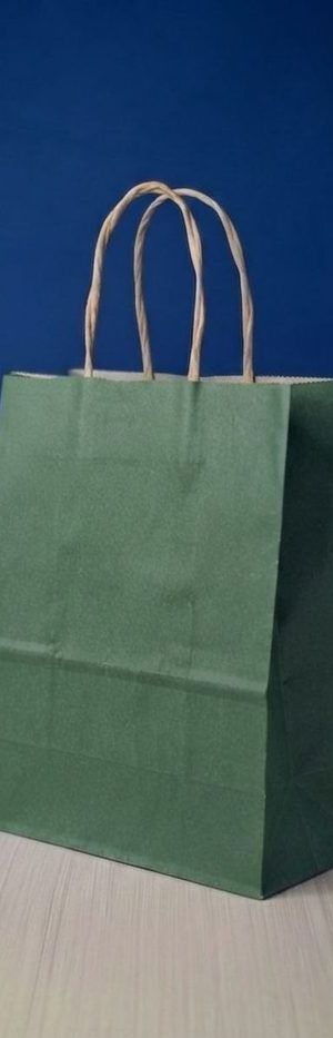 Bolsa Kraft Mediana - Verde