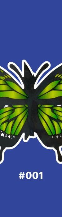 Cortina De Mariposas Monarca