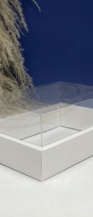 Caja Con Tapa De Acetato Talla M (24.5 X17x10cm) 0581-M