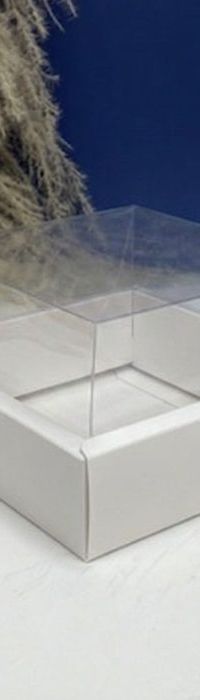 Caja Con Tapa De Acetato Talla M (17x17x10cm) 0581-S