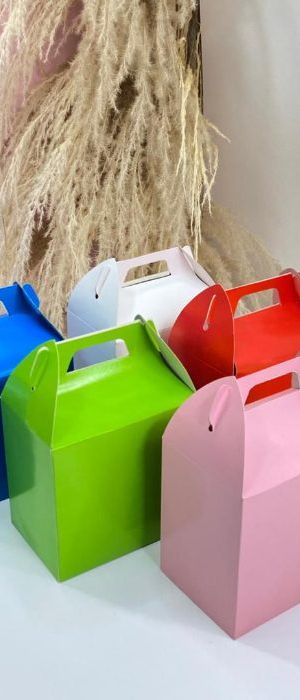 Cajas Tipo Lonchera Unicolor Medianas Cjg