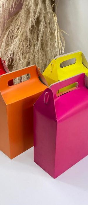 Cajas Tipo Lonchera Unicolor Grandes Cjeg