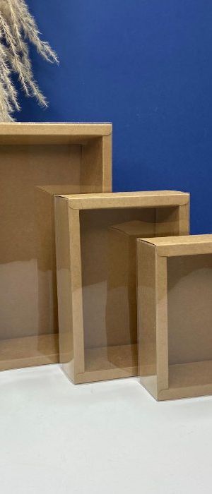 Cajas Tipo Sobre Acetato