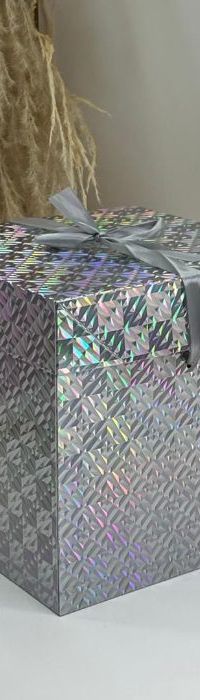 Cajas De Regalo Metalizada 22x22